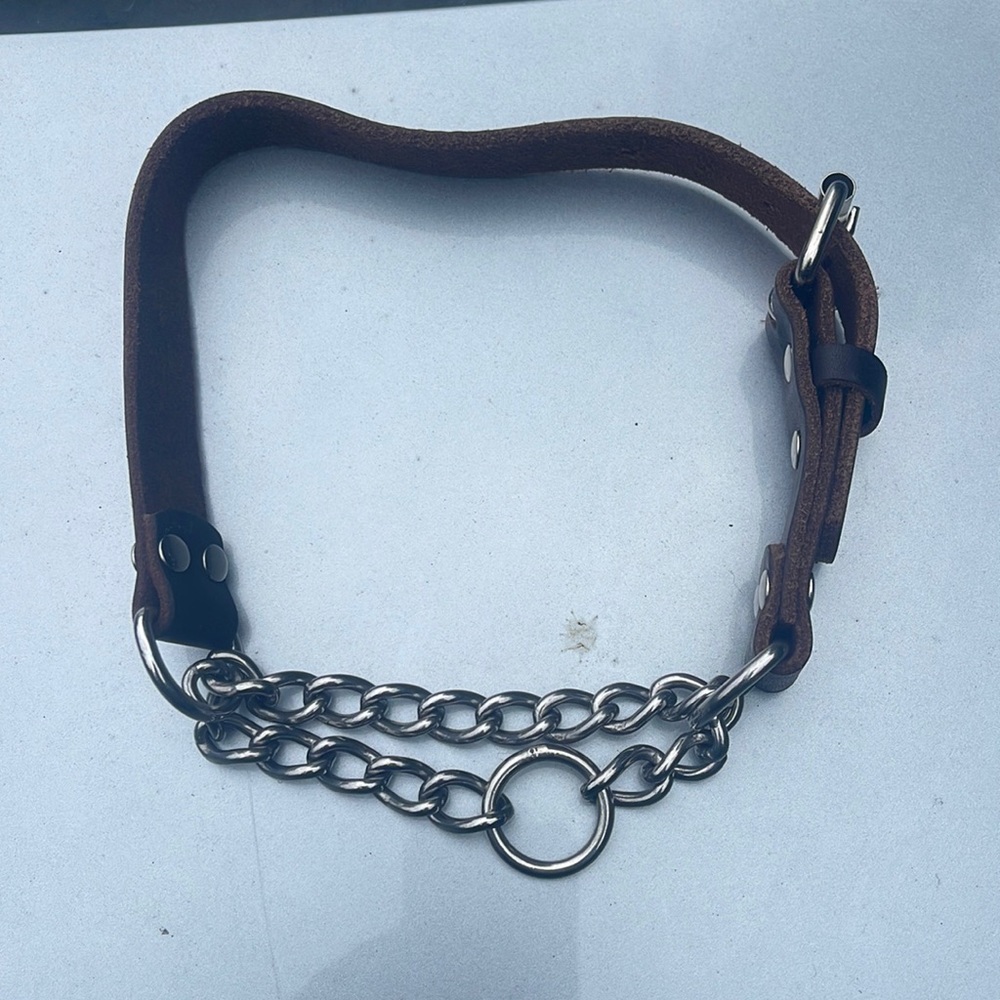 Dog Collar